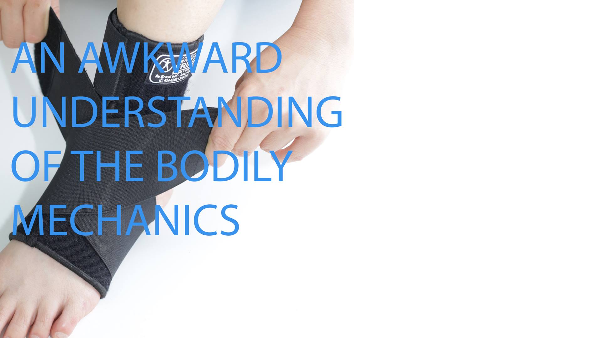 53654642_2159039727496945_1167736444538585088_o