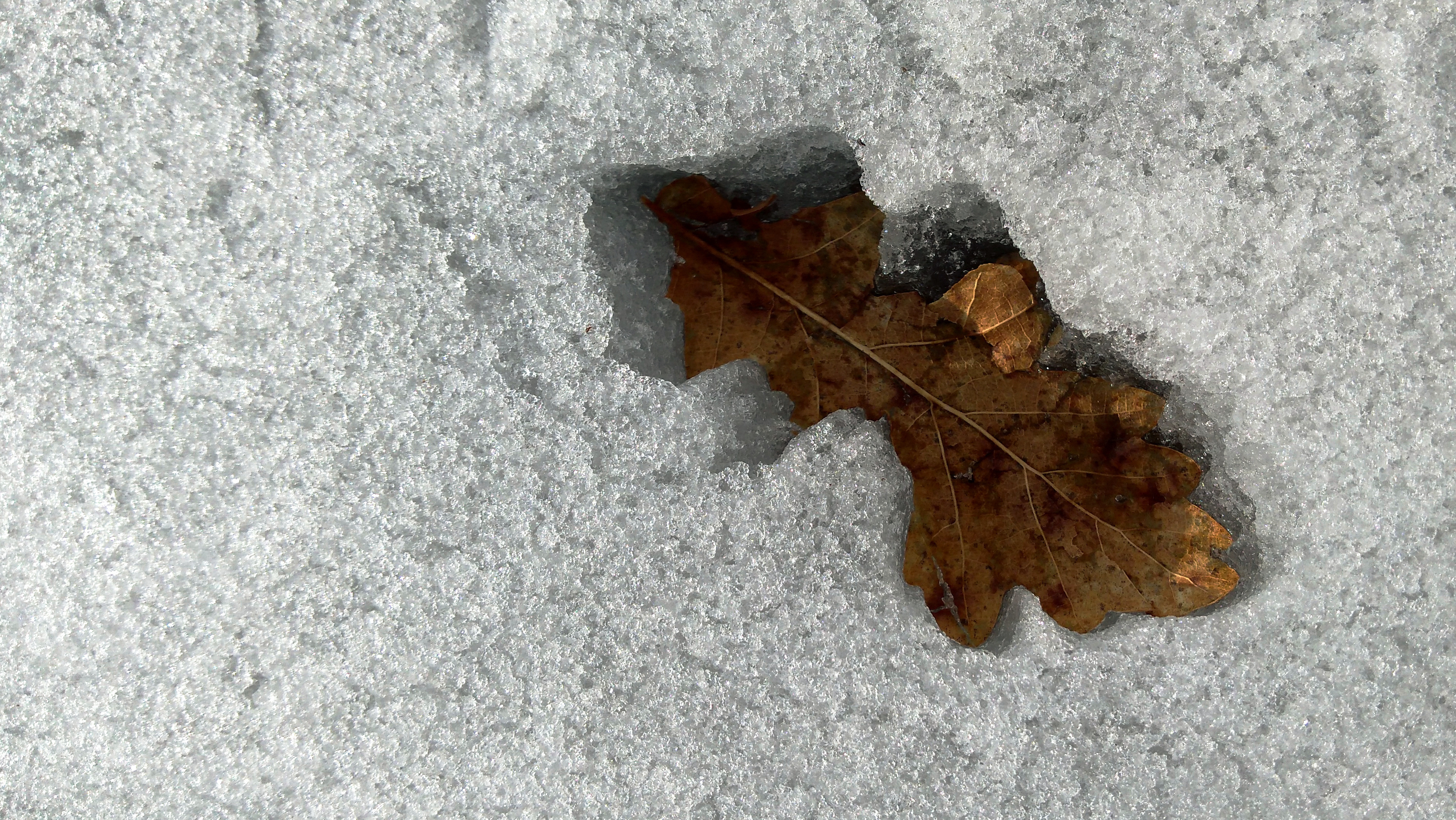 Minor Disturbance Rasoja Lovinac Croatia-1