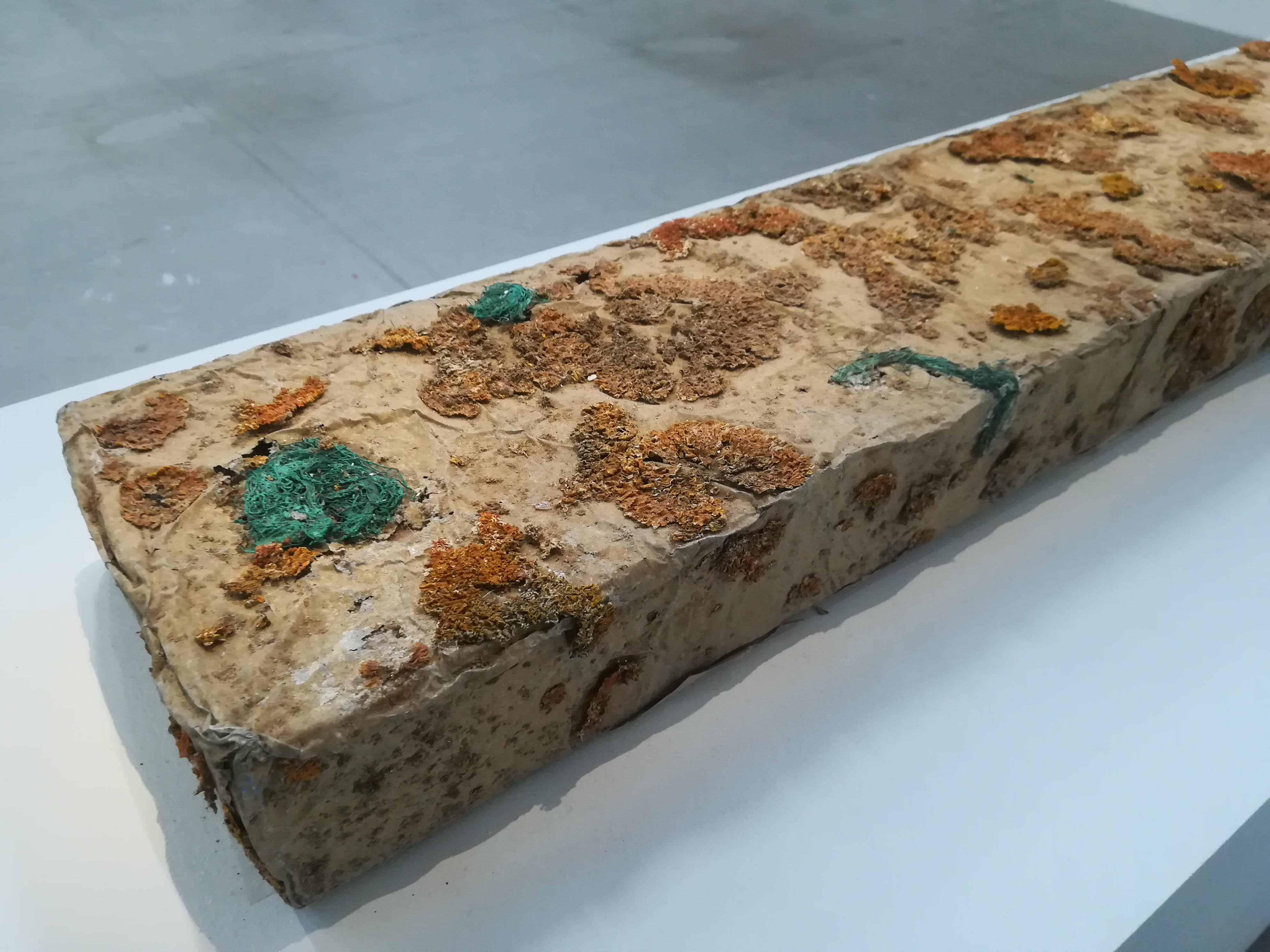 Le géant tranqparante